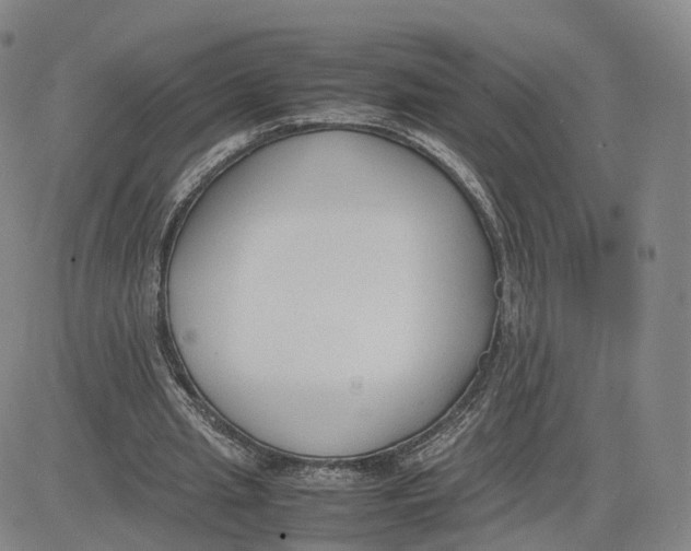 X0000083010437200702231816