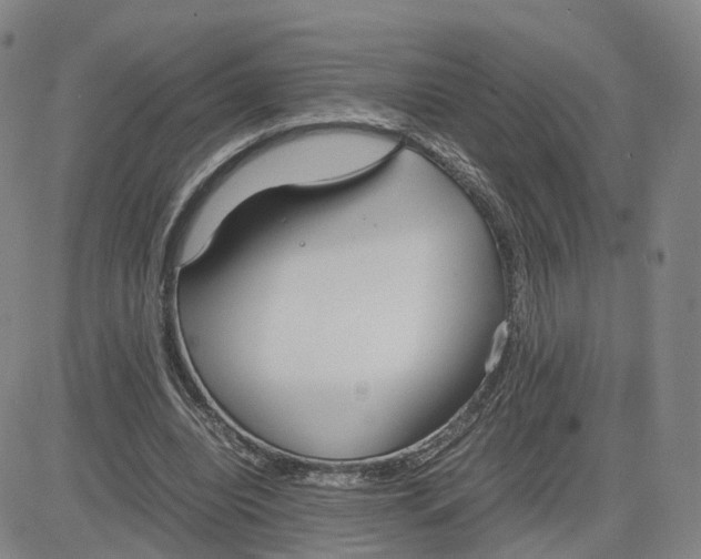 X0000083010440200702231816