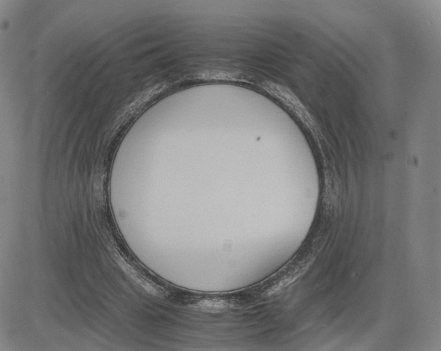 X0000083010441200702231816