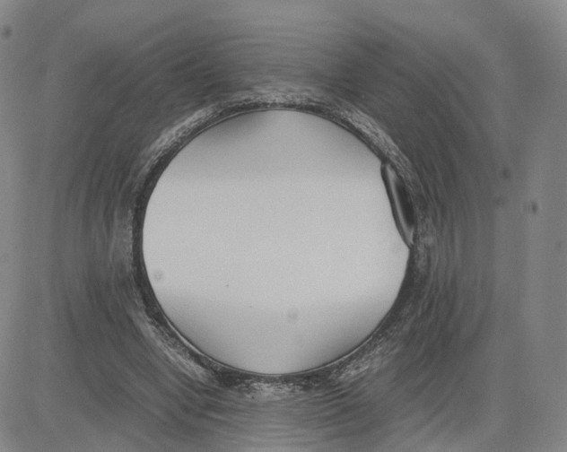 X0000083010442200702231816