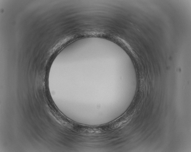 X0000083010443200702231816