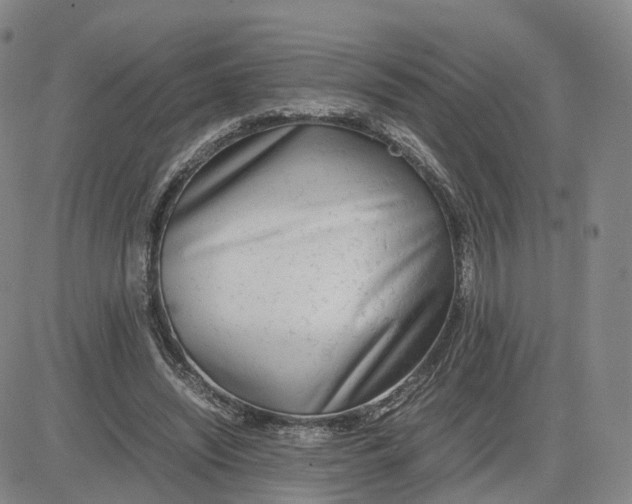 X0000083010444200702231816