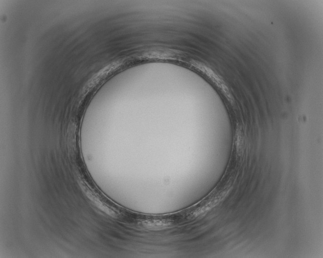 X0000083010445200702231816