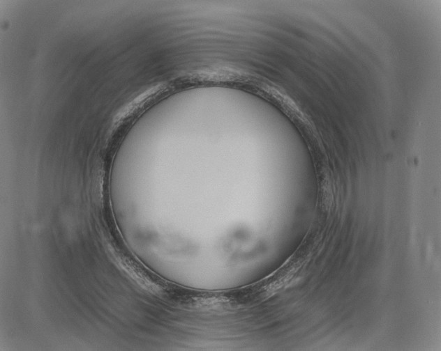 X0000083010446200702231816