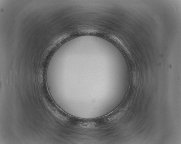 X0000083010447200702231816