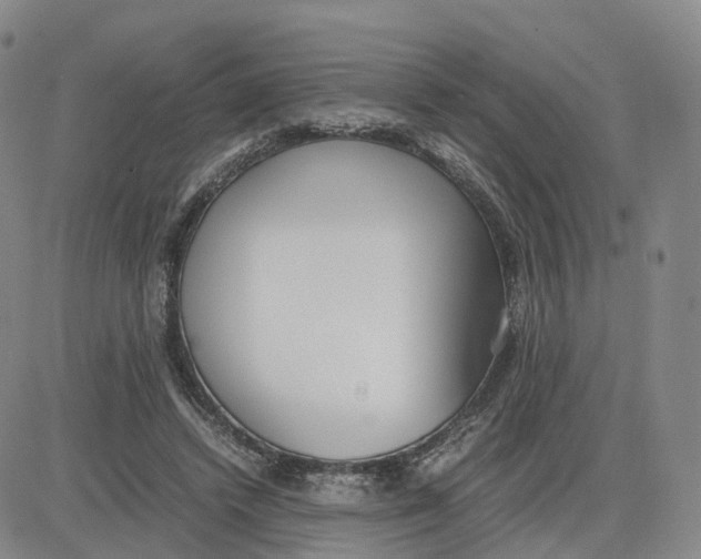 X0000083010448200702231816