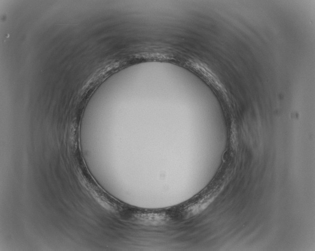 X0000083010449200702231816