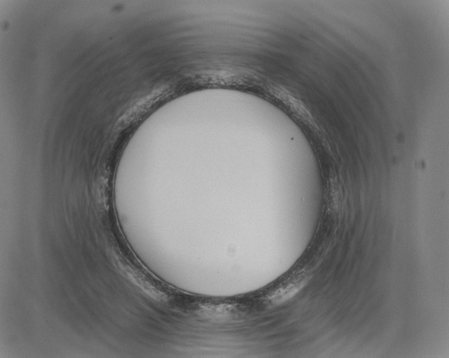 X0000083010450200702231816