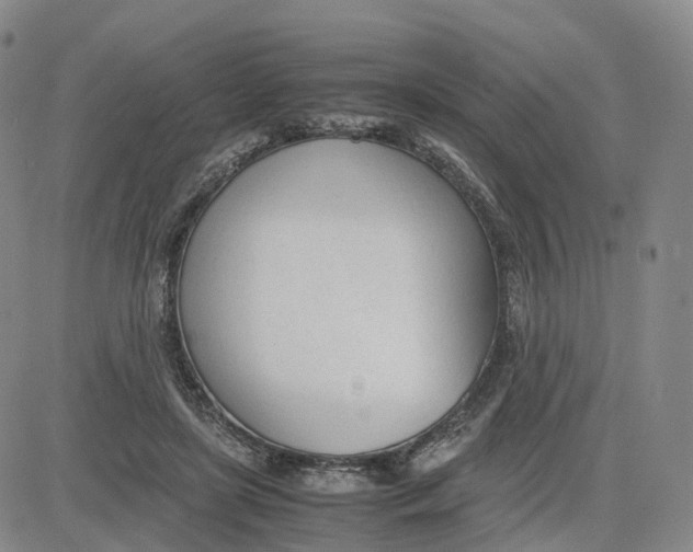 X0000083010451200702231816