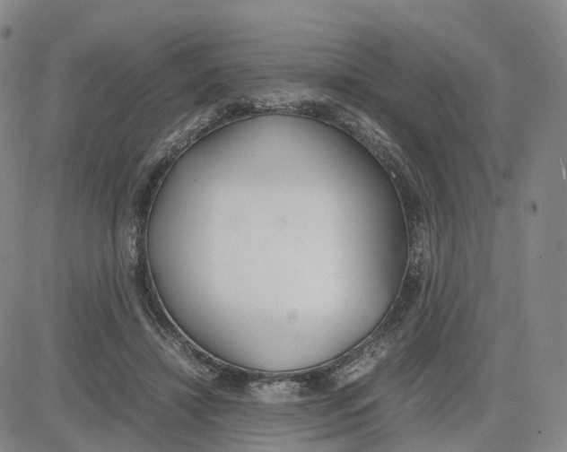 X0000083010452200702231816