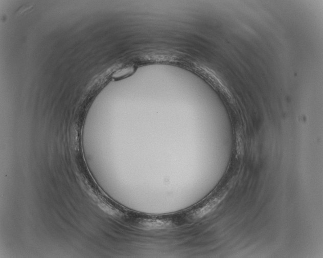 X0000083010453200702231816