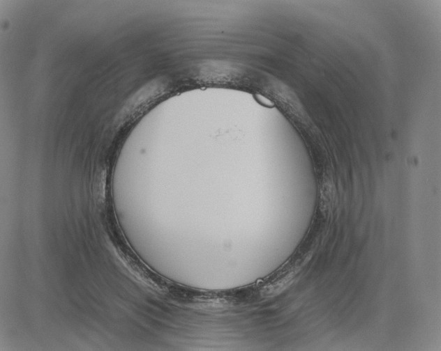 X0000083010454200702231816