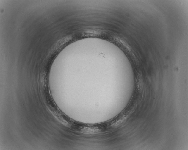 X0000083010455200702231816