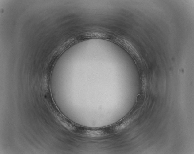 X0000083010457200702231817