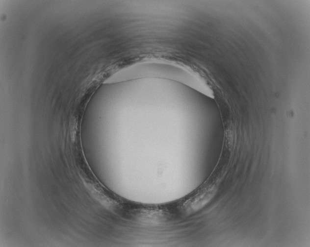 X0000083010458200702231817