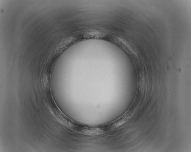 X0000083010459200702231817