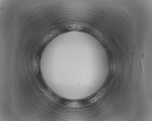 X0000083010460200702231817