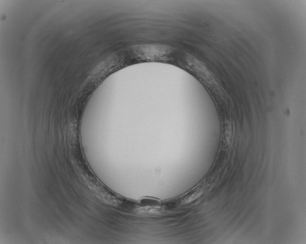 X0000083010461200702231817