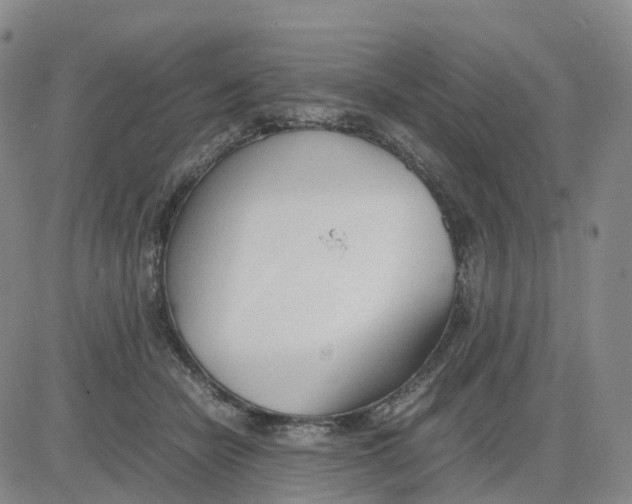 X0000083010462200702231817