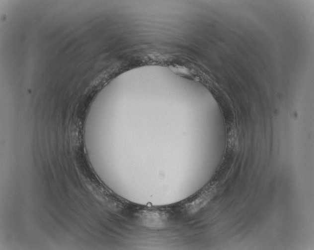 X0000083010464200702231817