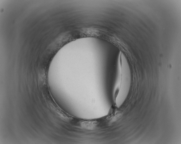 X0000083010465200702231817