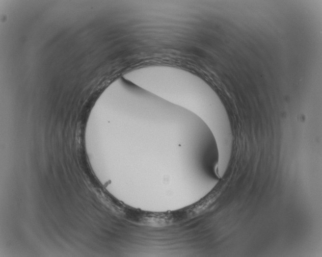 X0000083010466200702231817