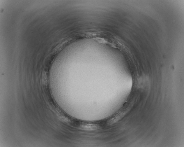 X0000083010467200702231817