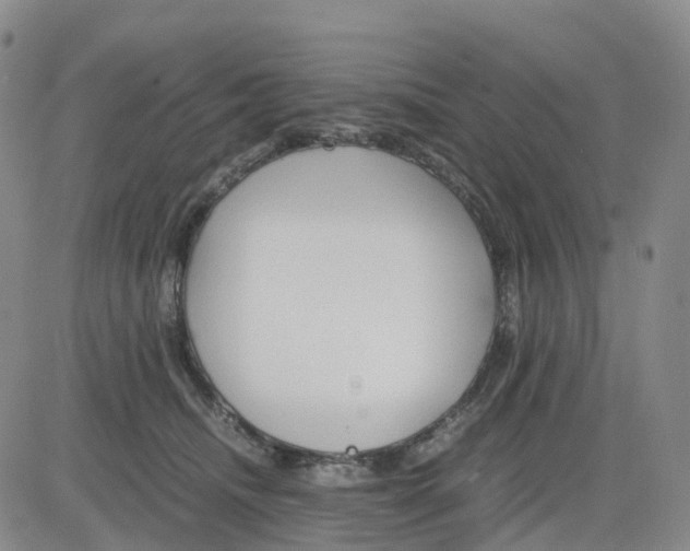 X0000083010468200702231817