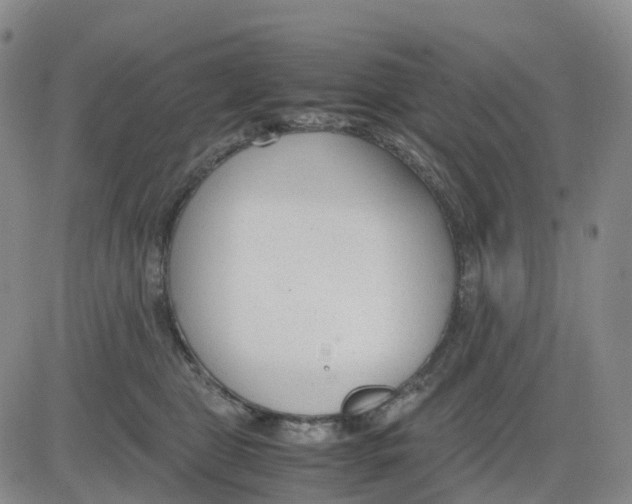 X0000083010469200702231817