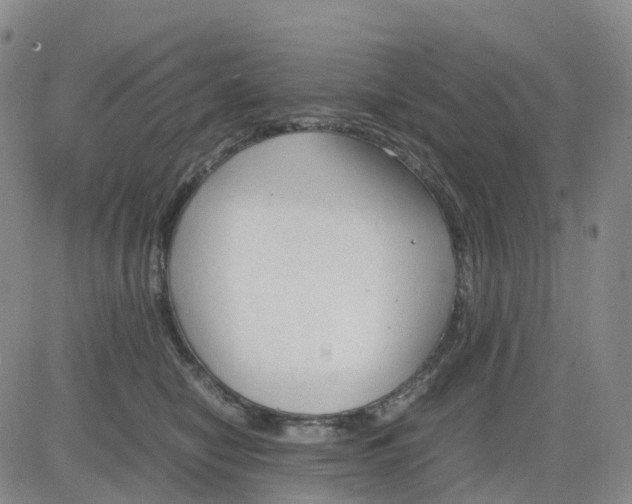 X0000083010470200702231817