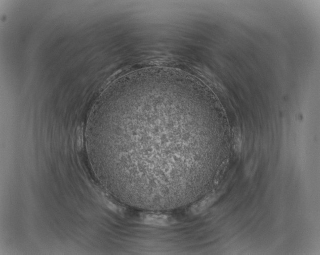 X0000083010471200702231817