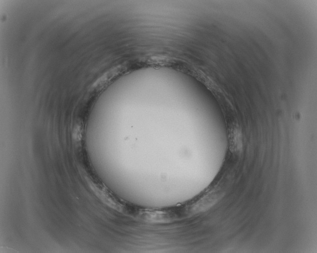 X0000083010472200702231817