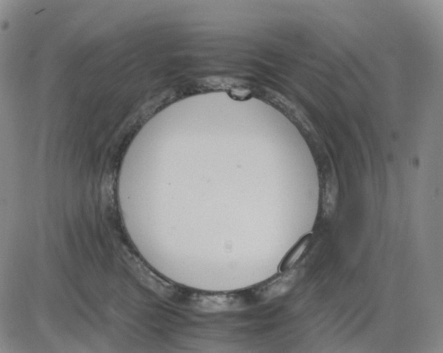 X0000083010473200702231817