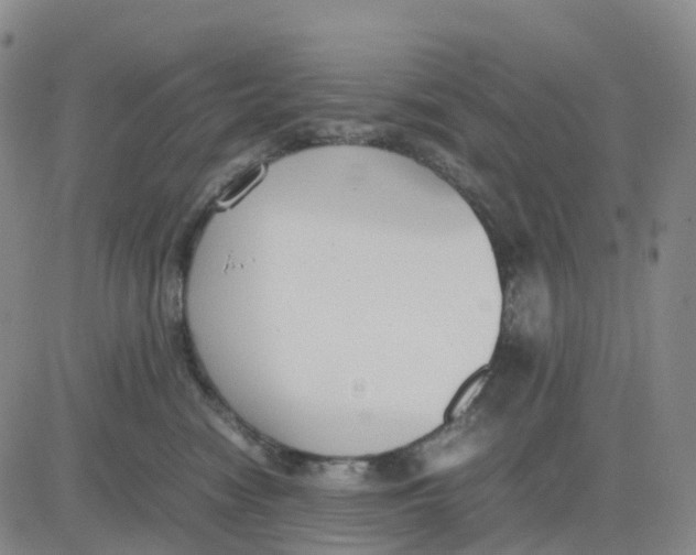 X0000083010474200702231817