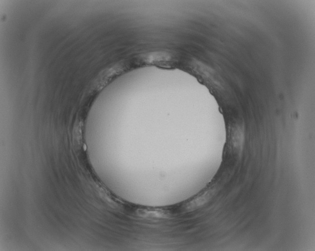 X0000083010475200702231817