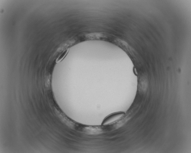 X0000083010477200702231817