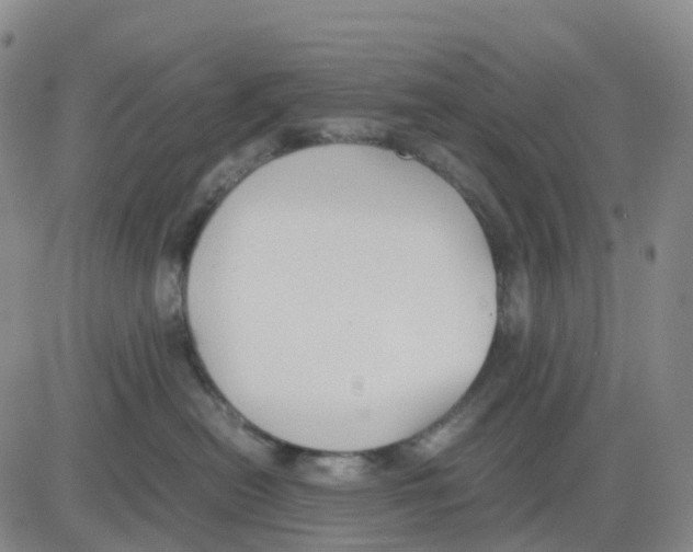 X0000083010478200702231817