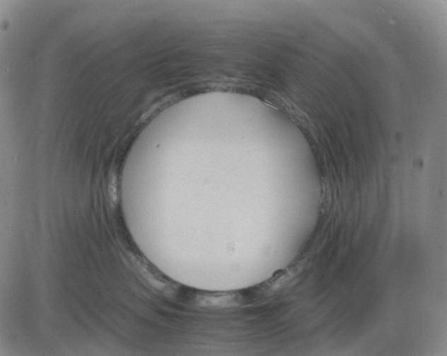 X0000083010479200702231817