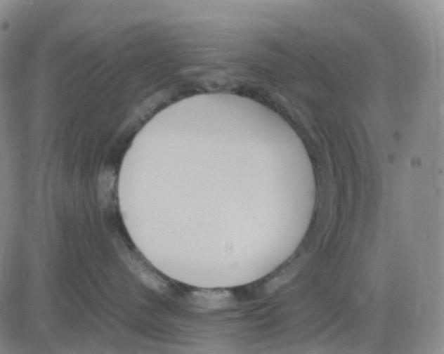 X0000083010480200702231817