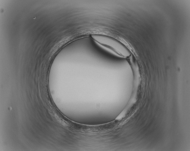 X0000083010481200702231816