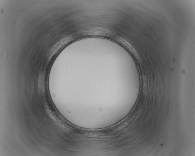 X0000083010482200702231816