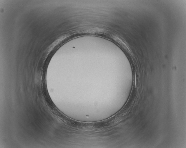 X0000083010483200702231816