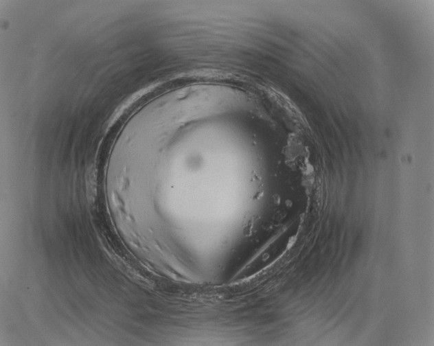 X0000083010484200702231816