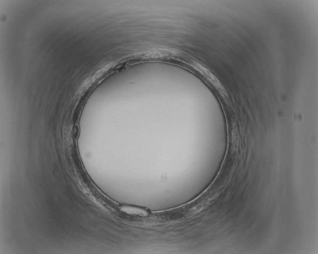 X0000083010485200702231816