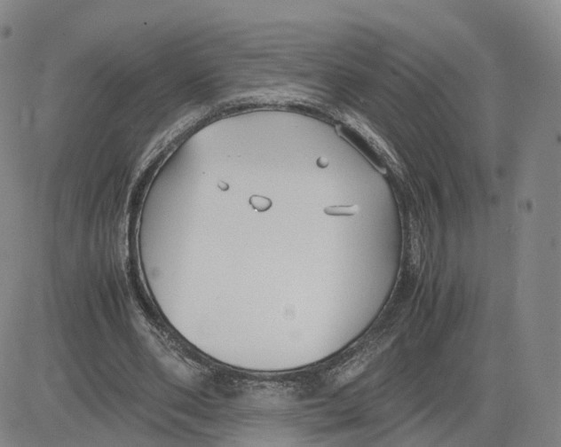 X0000083010486200702231816