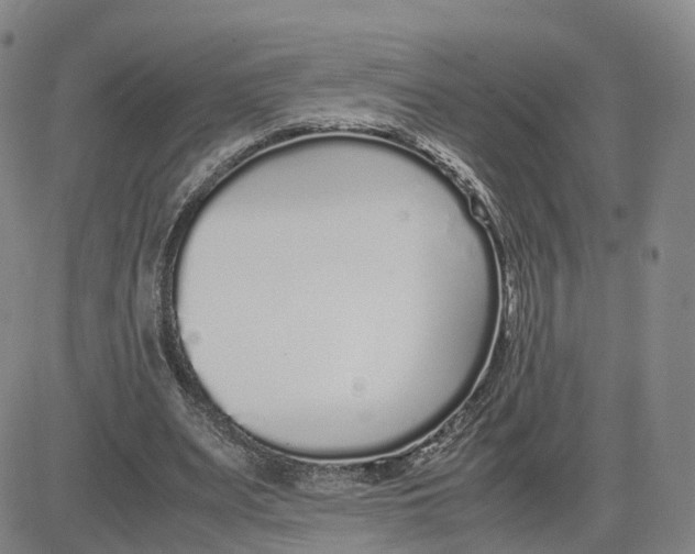 X0000083010487200702231816