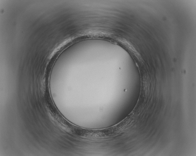 X0000083010488200702231816