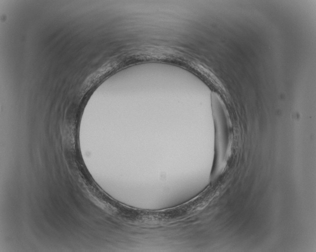 X0000083010489200702231816