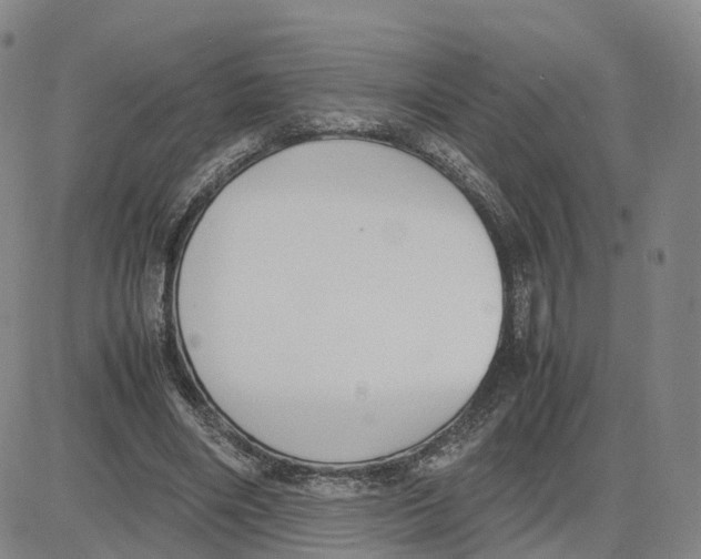 X0000083010490200702231816