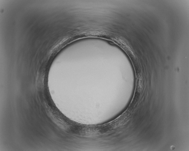 X0000083010491200702231816